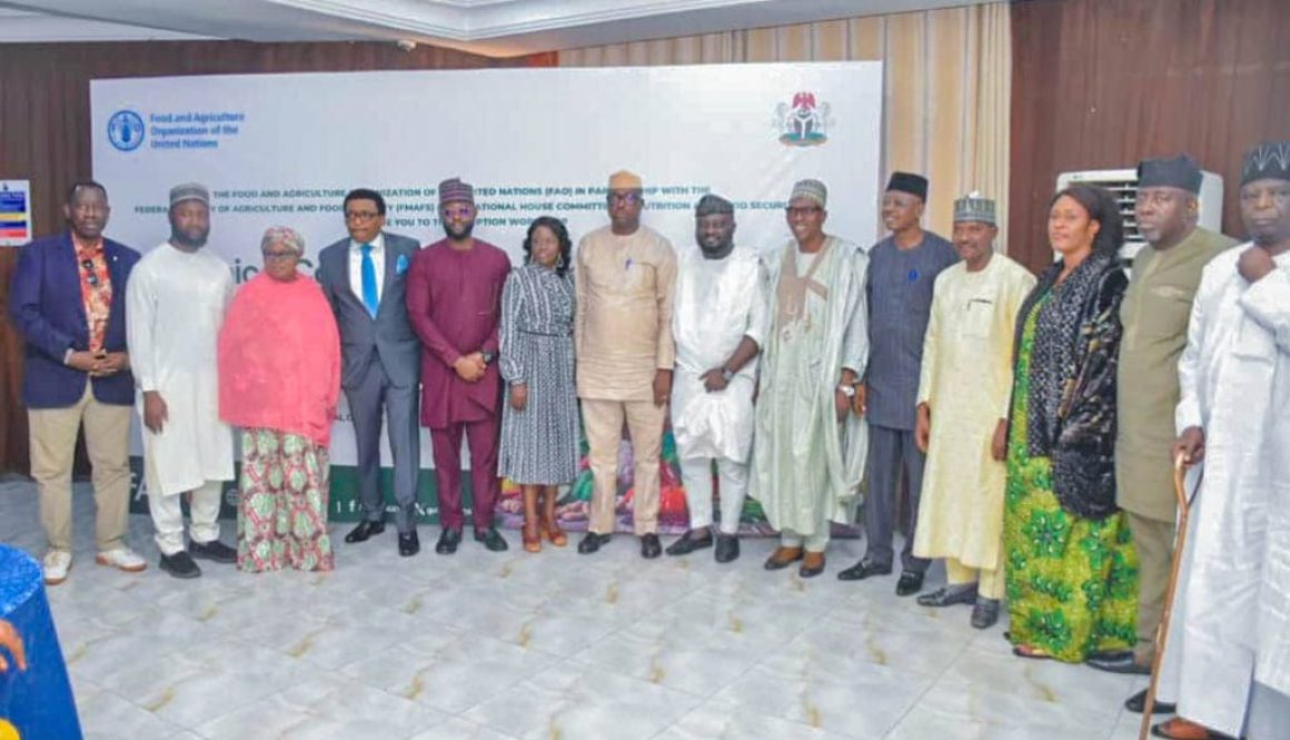 FG, STAKEHOLDERS STRATEGIZE ON THE IMPLEMENTATION OF PROJECT “NOURISHING NIGERIA”