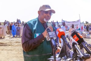 FG Targets ₦160BN Wheat Production, to Enhance Food Sovereignty