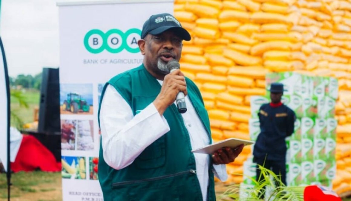 Senator Abubakar Kyari