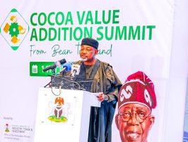 TINUBU UNVEILS PLAN TO ENHANCE THE COCOA SECTOR AND BOOST THE ECONOMY